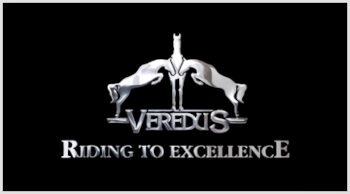 Veredus-Metallic-Logo4
